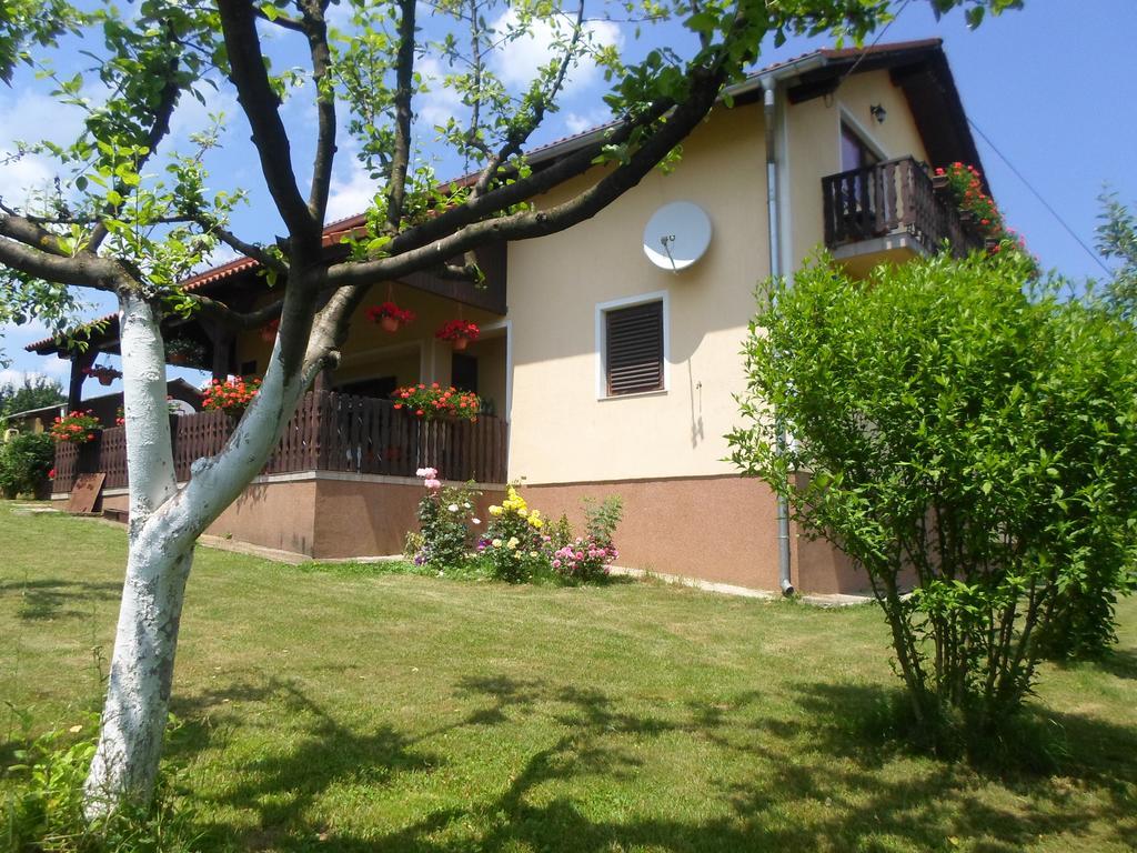 House Petra Apartamento Rakovica Exterior foto
